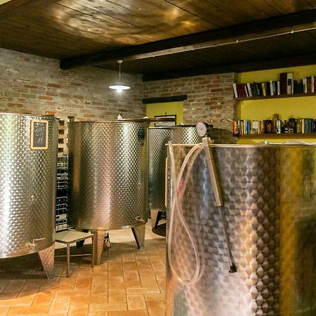 Ca Trifolera Barbaresco - Romantico Cascinale Con Antica Cantina Nel Cuore Delle Langhe - Degustazione Vini Nella Nostra Cantina Εξωτερικό φωτογραφία
