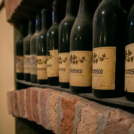 Ca Trifolera Barbaresco - Romantico Cascinale Con Antica Cantina Nel Cuore Delle Langhe - Degustazione Vini Nella Nostra Cantina Εξωτερικό φωτογραφία