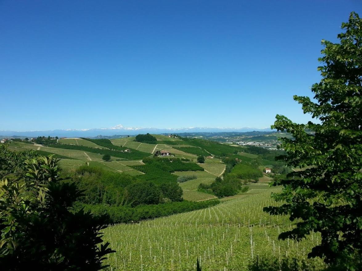 Ca Trifolera Barbaresco - Romantico Cascinale Con Antica Cantina Nel Cuore Delle Langhe - Degustazione Vini Nella Nostra Cantina Εξωτερικό φωτογραφία