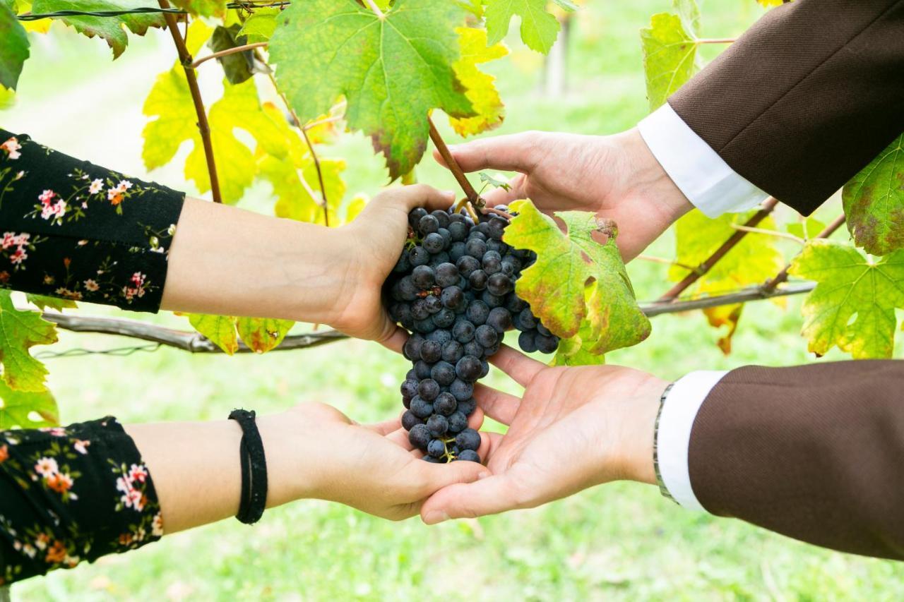 Ca Trifolera Barbaresco - Romantico Cascinale Con Antica Cantina Nel Cuore Delle Langhe - Degustazione Vini Nella Nostra Cantina Εξωτερικό φωτογραφία