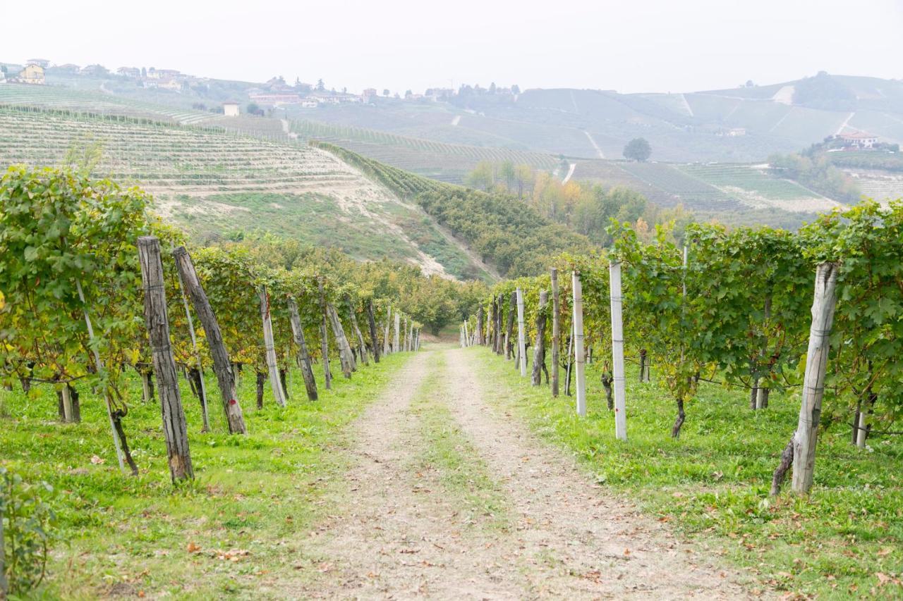 Ca Trifolera Barbaresco - Romantico Cascinale Con Antica Cantina Nel Cuore Delle Langhe - Degustazione Vini Nella Nostra Cantina Εξωτερικό φωτογραφία