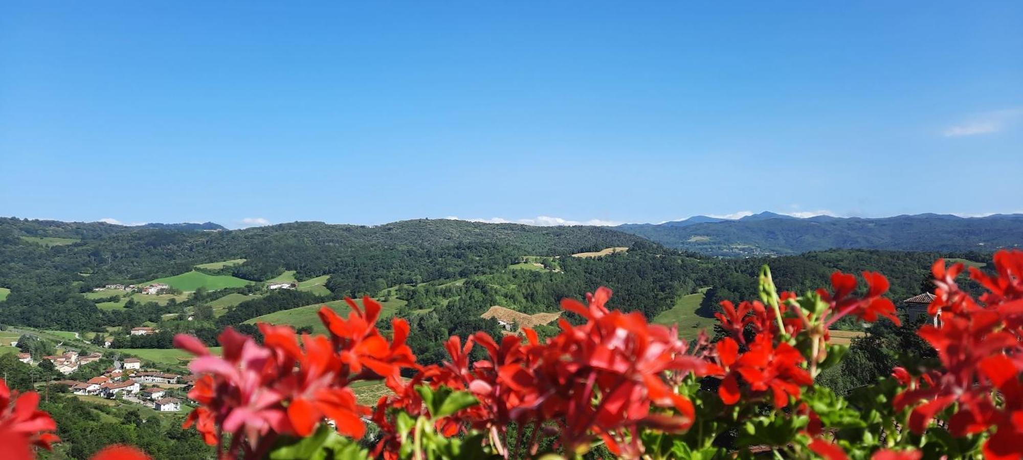 Ca Trifolera Barbaresco - Romantico Cascinale Con Antica Cantina Nel Cuore Delle Langhe - Degustazione Vini Nella Nostra Cantina Εξωτερικό φωτογραφία