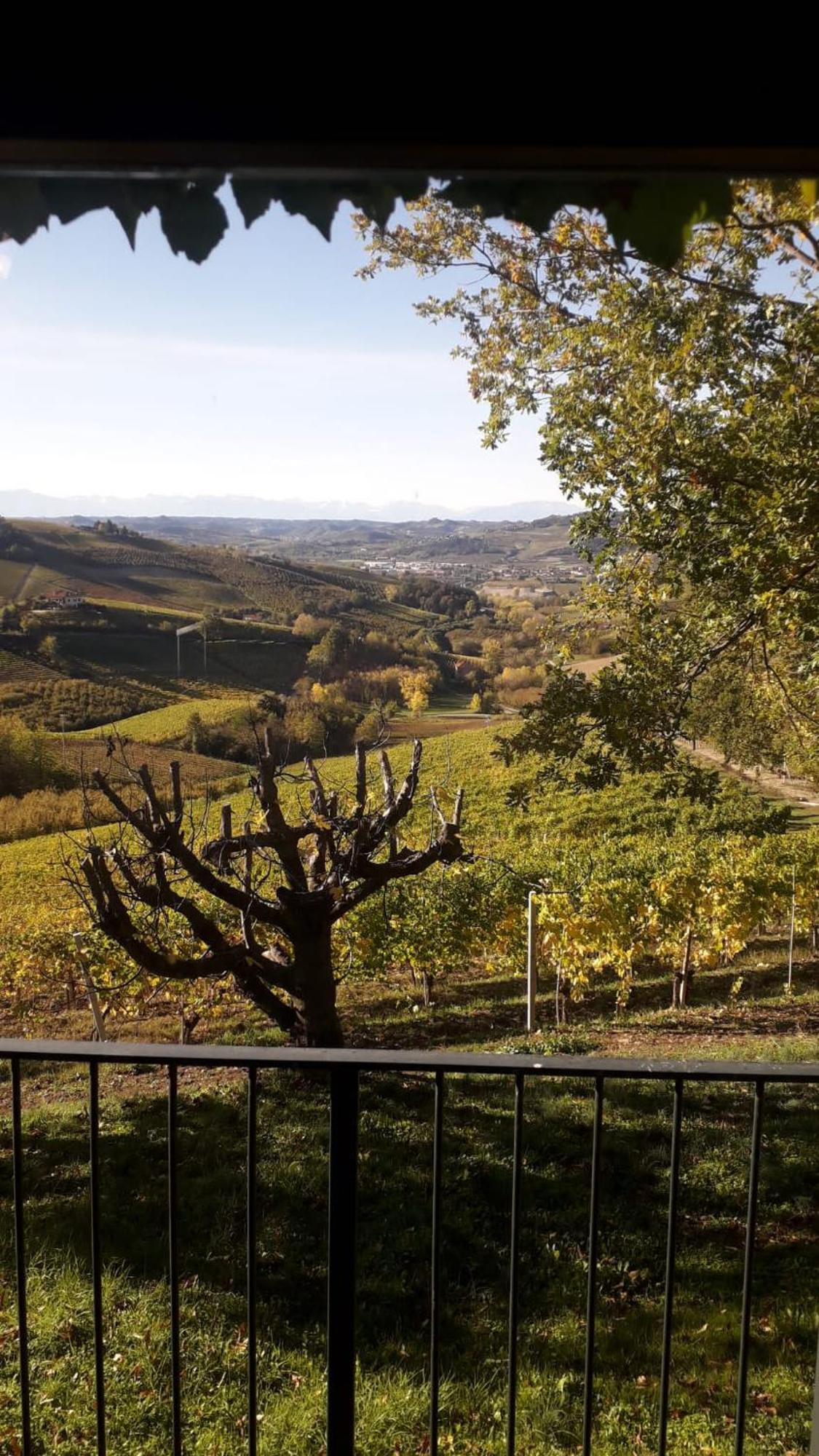 Ca Trifolera Barbaresco - Romantico Cascinale Con Antica Cantina Nel Cuore Delle Langhe - Degustazione Vini Nella Nostra Cantina Εξωτερικό φωτογραφία
