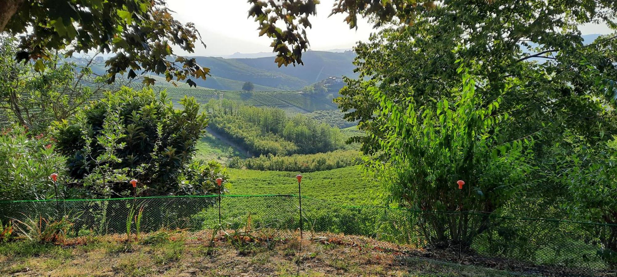 Ca Trifolera Barbaresco - Romantico Cascinale Con Antica Cantina Nel Cuore Delle Langhe - Degustazione Vini Nella Nostra Cantina Εξωτερικό φωτογραφία