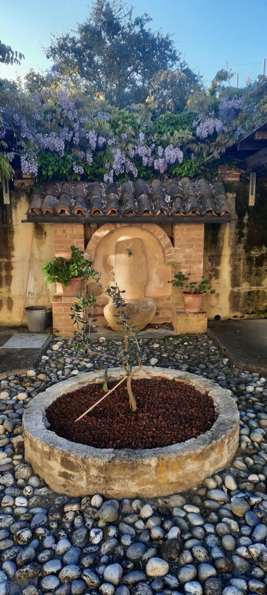 Ca Trifolera Barbaresco - Romantico Cascinale Con Antica Cantina Nel Cuore Delle Langhe - Degustazione Vini Nella Nostra Cantina Εξωτερικό φωτογραφία