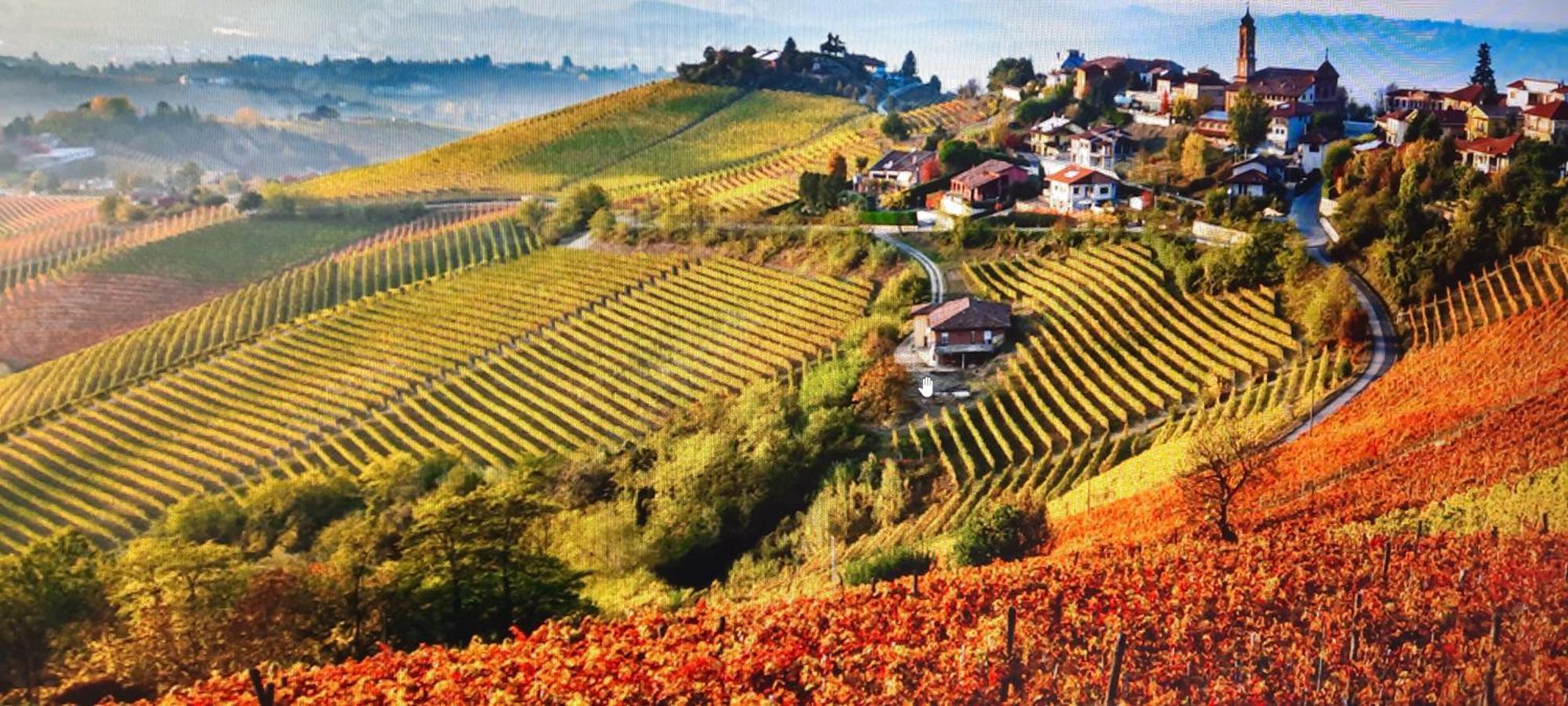 Ca Trifolera Barbaresco - Romantico Cascinale Con Antica Cantina Nel Cuore Delle Langhe - Degustazione Vini Nella Nostra Cantina Εξωτερικό φωτογραφία