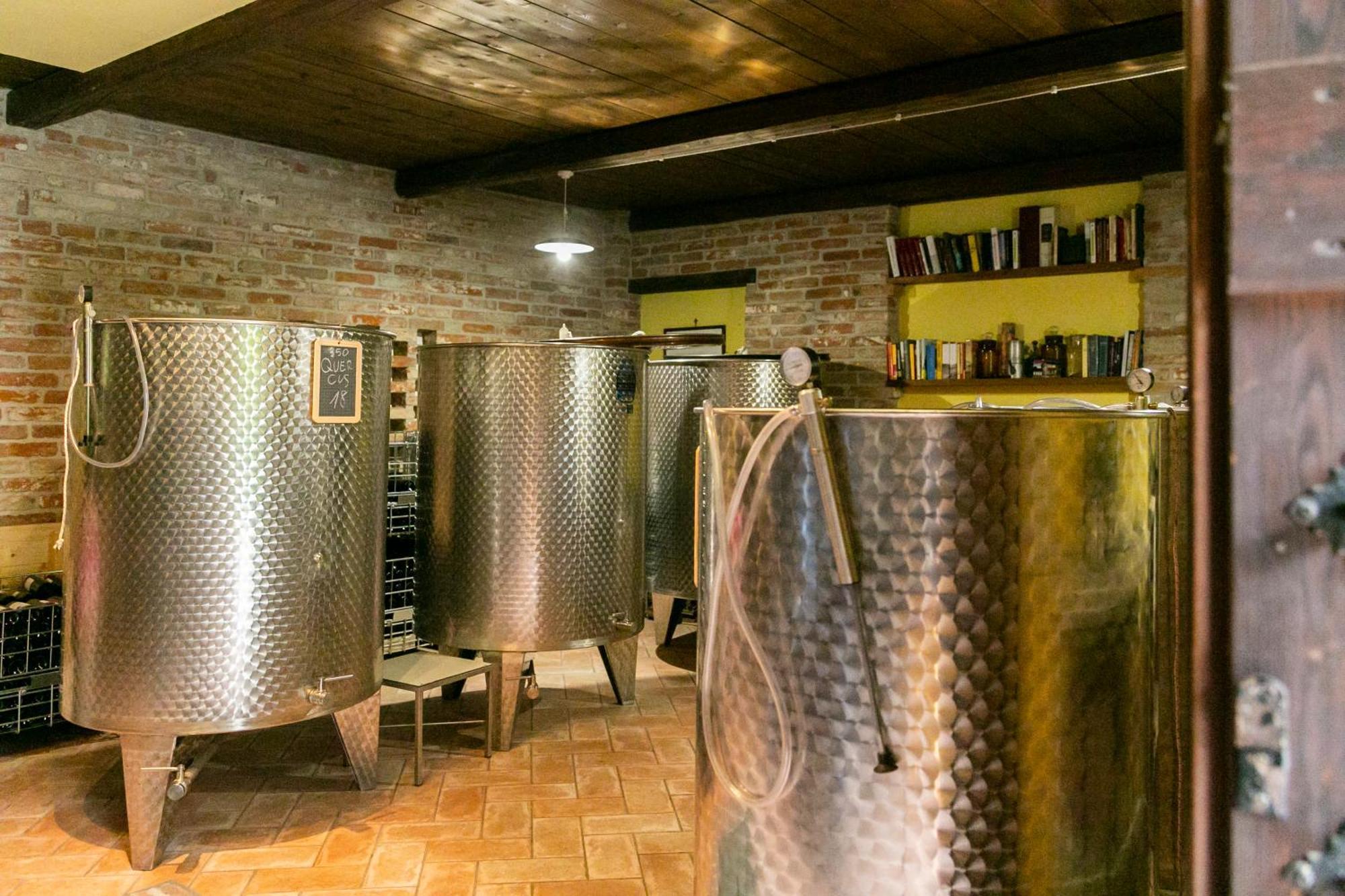 Ca Trifolera Barbaresco - Romantico Cascinale Con Antica Cantina Nel Cuore Delle Langhe - Degustazione Vini Nella Nostra Cantina Εξωτερικό φωτογραφία