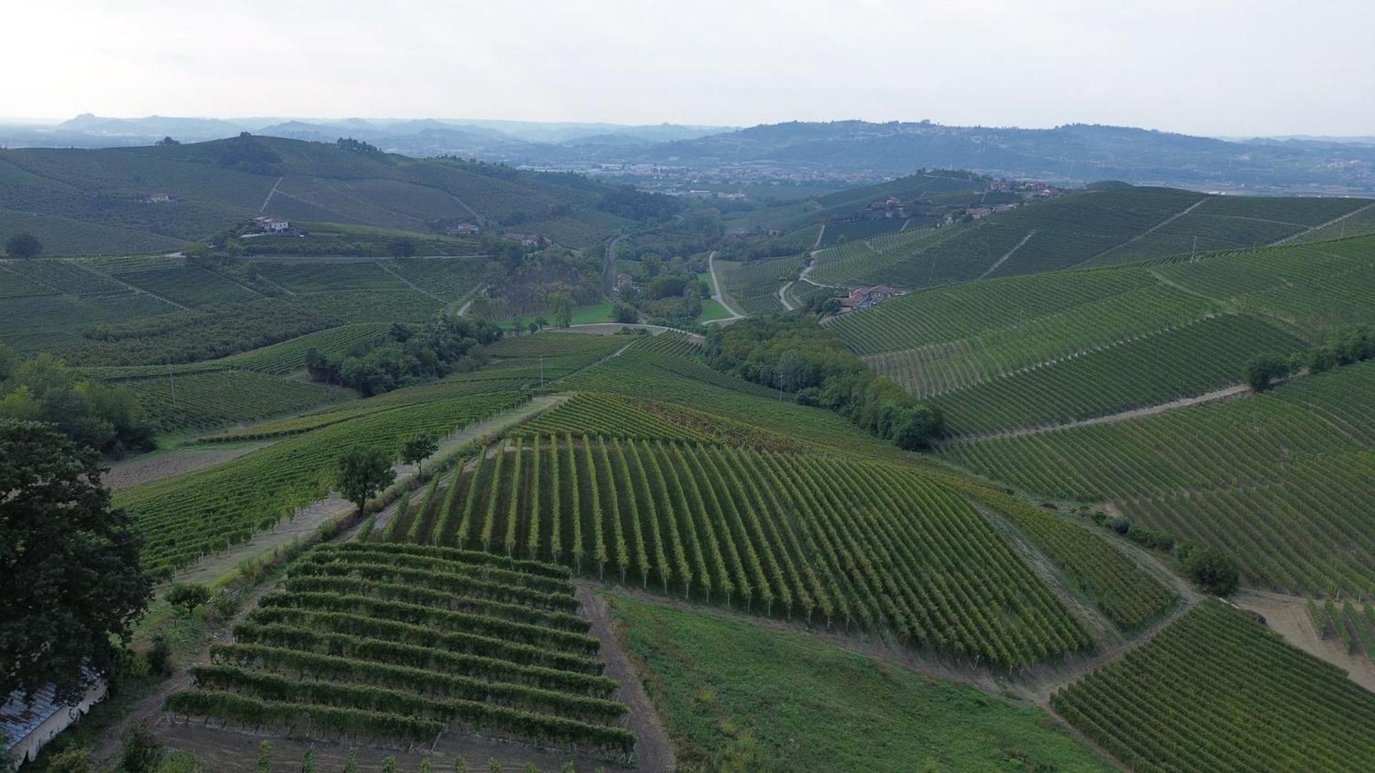 Ca Trifolera Barbaresco - Romantico Cascinale Con Antica Cantina Nel Cuore Delle Langhe - Degustazione Vini Nella Nostra Cantina Εξωτερικό φωτογραφία