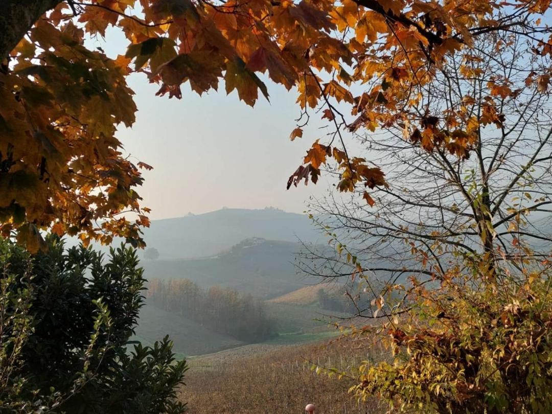 Ca Trifolera Barbaresco - Romantico Cascinale Con Antica Cantina Nel Cuore Delle Langhe - Degustazione Vini Nella Nostra Cantina Εξωτερικό φωτογραφία